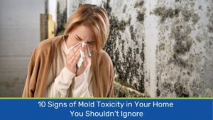 10 Warning Signs of Mold Toxicity